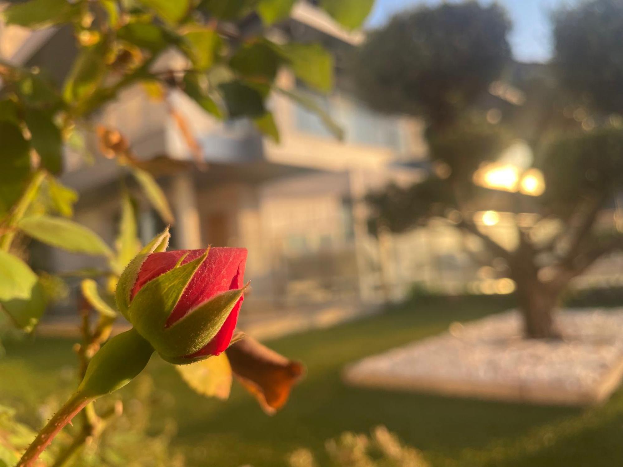 Altos De Finestrat Villa Екстериор снимка